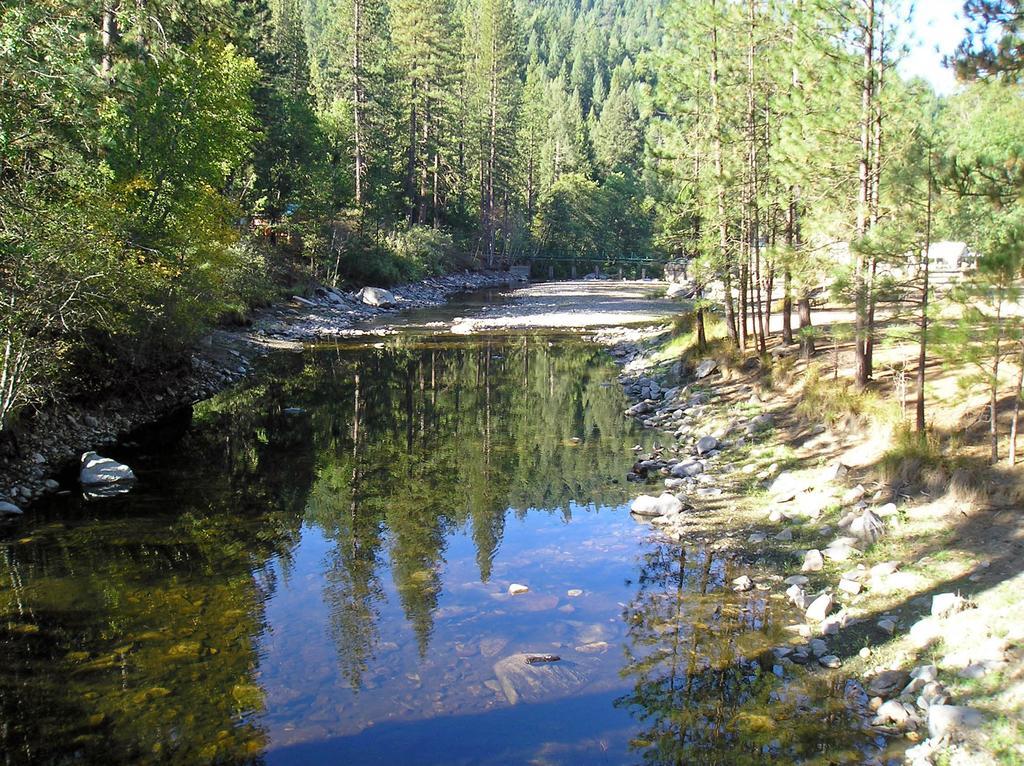 Yosemite Lakes Bunkhouse Cabin 27 Harden Flat Экстерьер фото